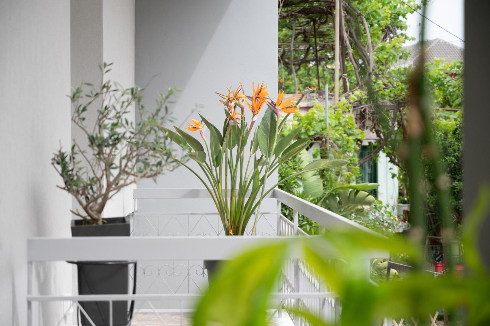 Louisa Luxury Apartments Preveza Exterior foto